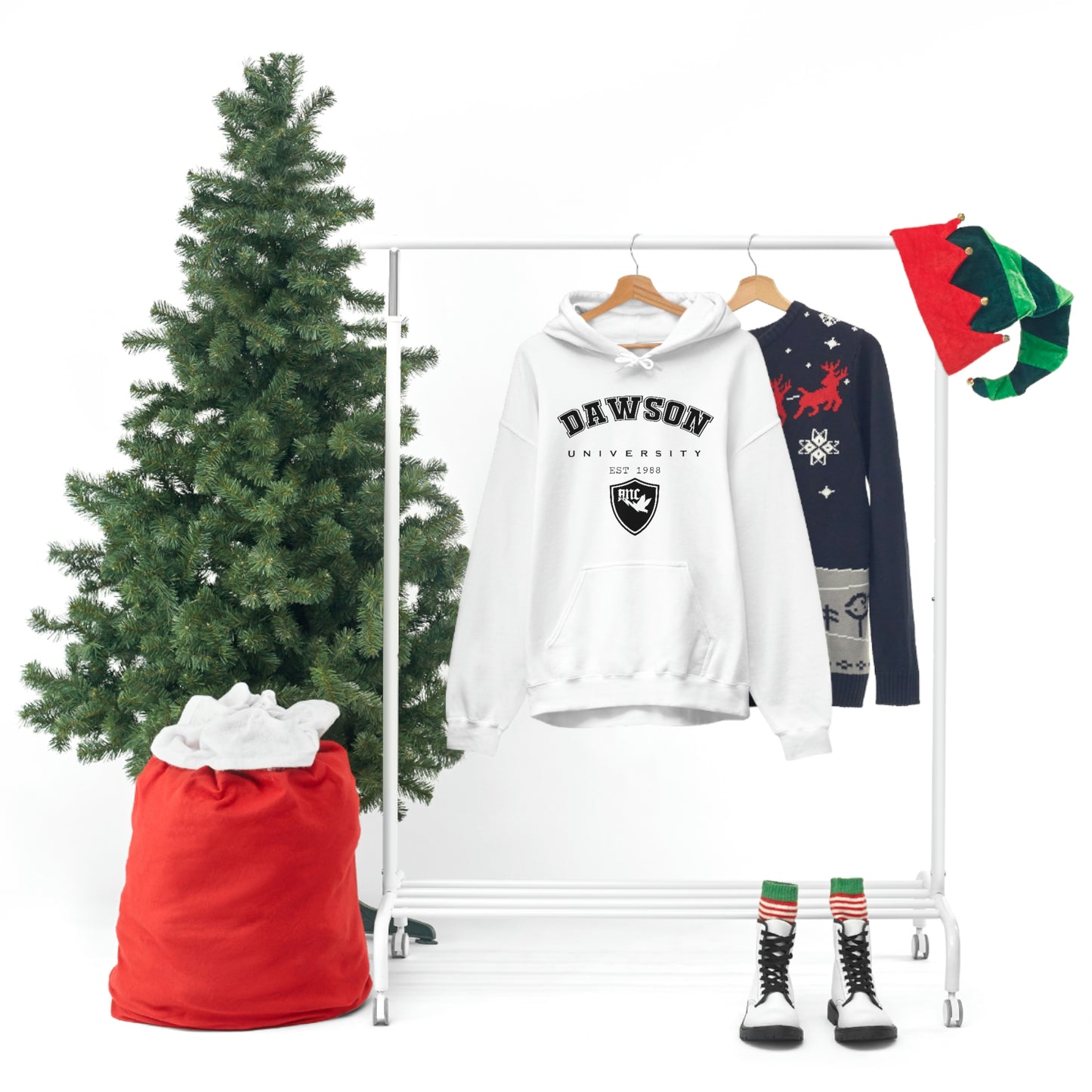 Dawson University Hoodie