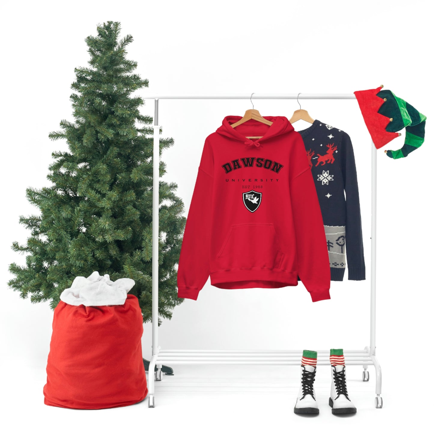 Dawson University Hoodie