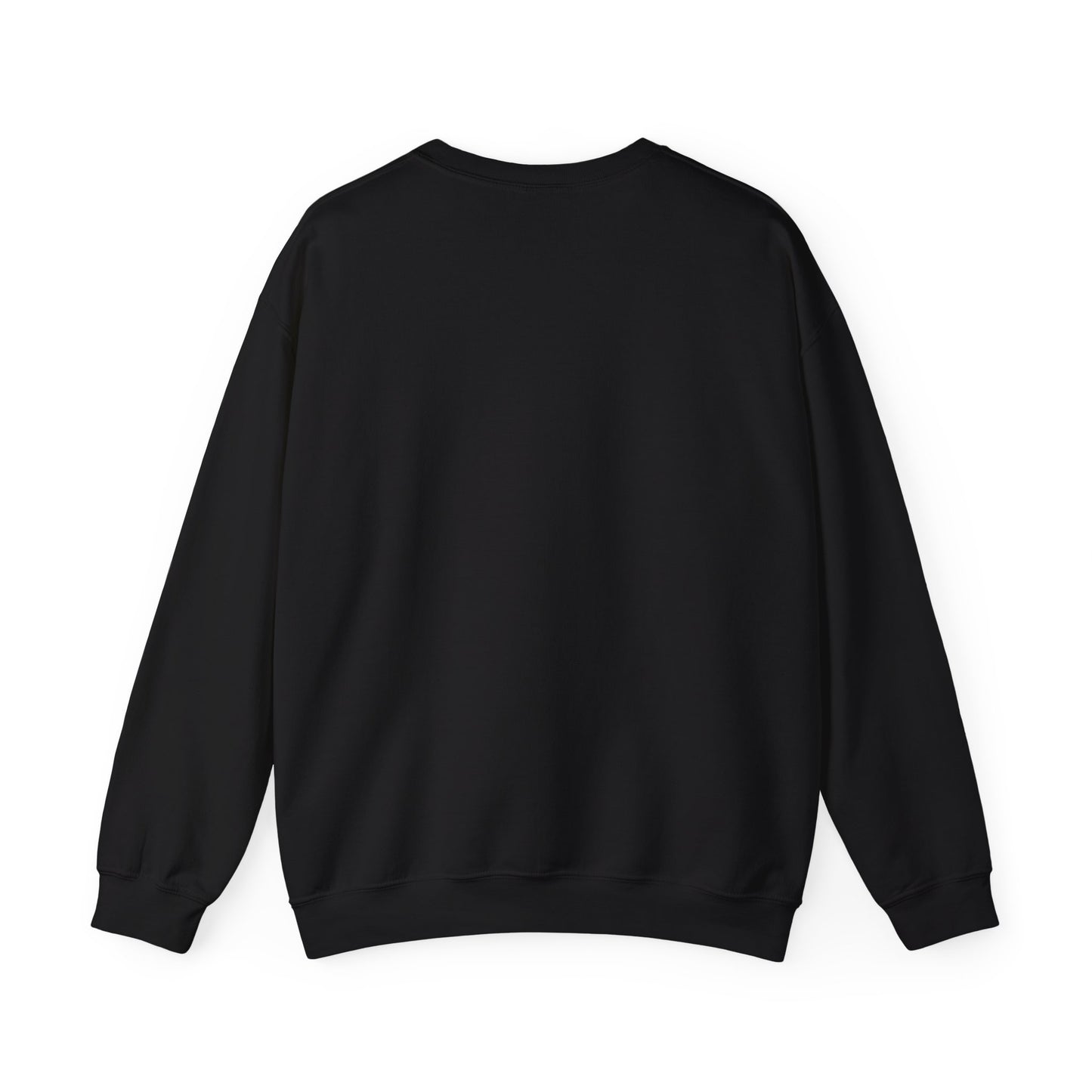 Texit sweat shirt