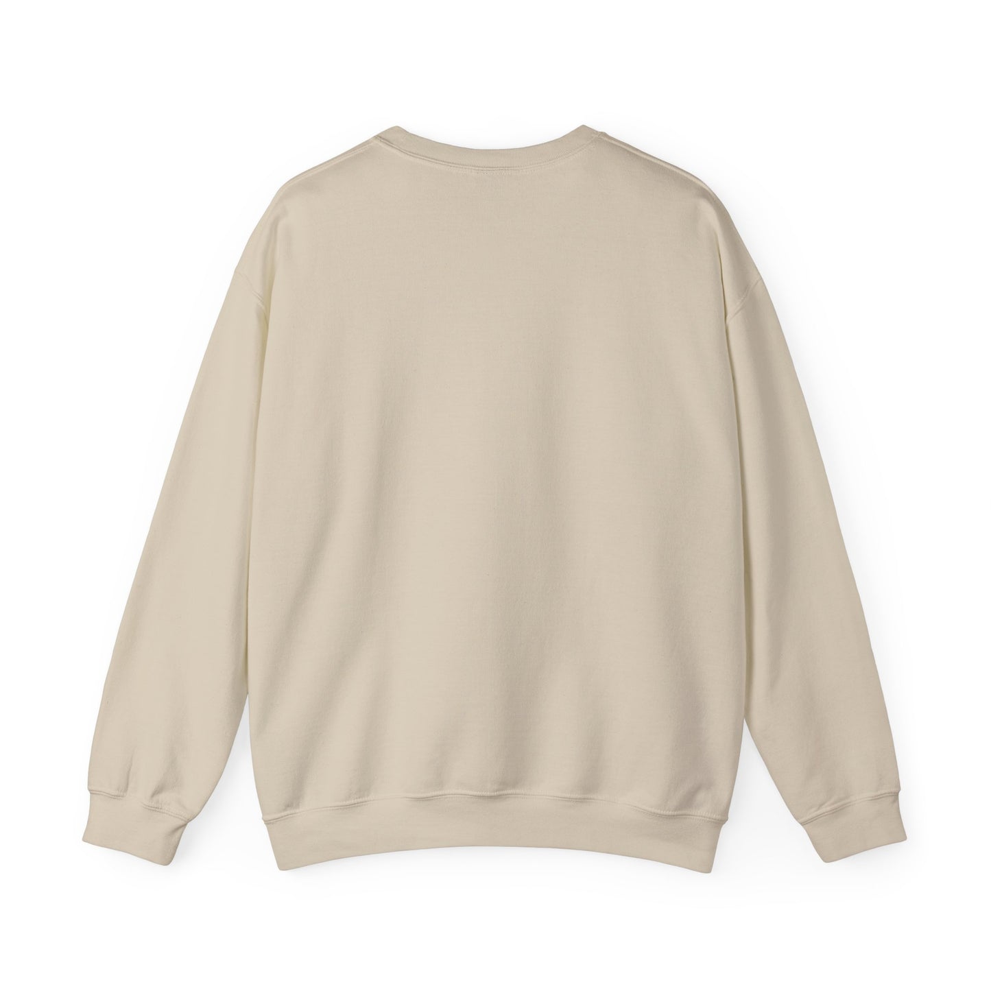 Texit sweat shirt