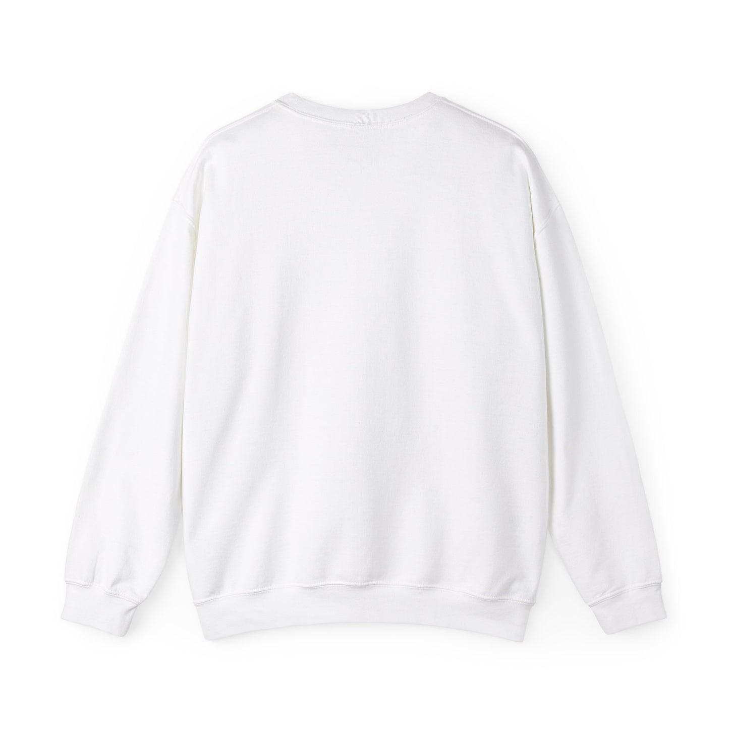 Texit sweat shirt