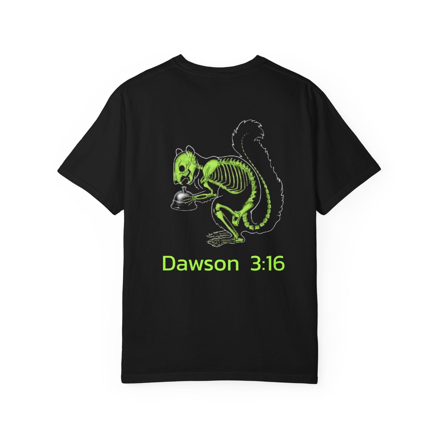 Dawson 316